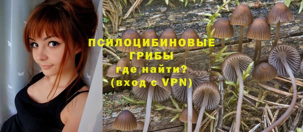 мескалин Сосновый Бор