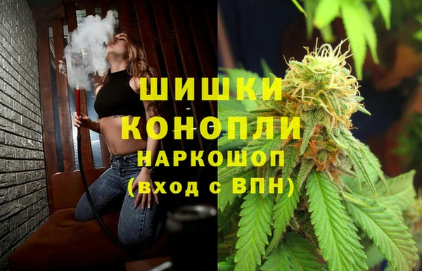 шишки Струнино