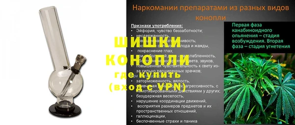шишки Струнино