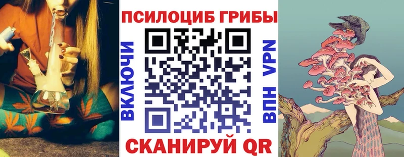 Галлюциногенные грибы Psilocybine cubensis Купить где Владивосток