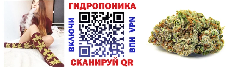 Шишки марихуана OG Kush  Купить закладки  Владивосток 